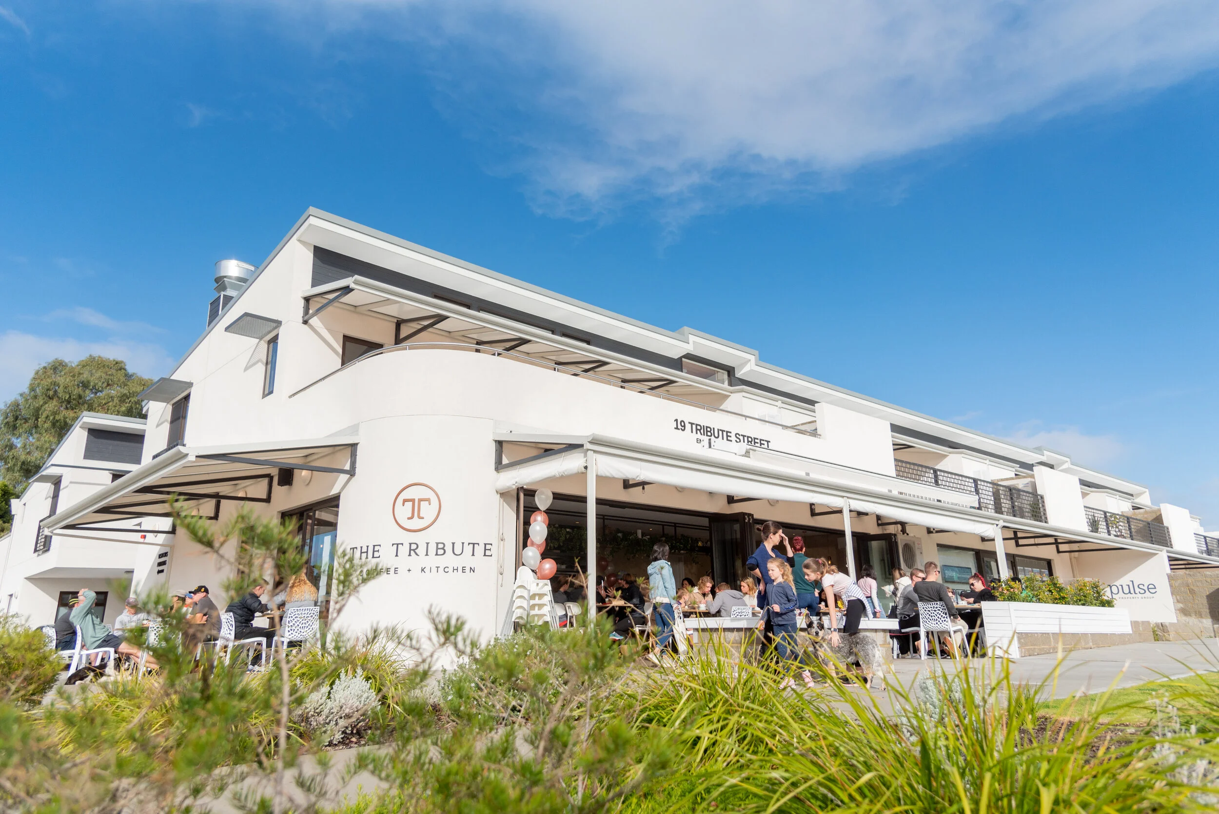 Tribute Cafe, Shelley